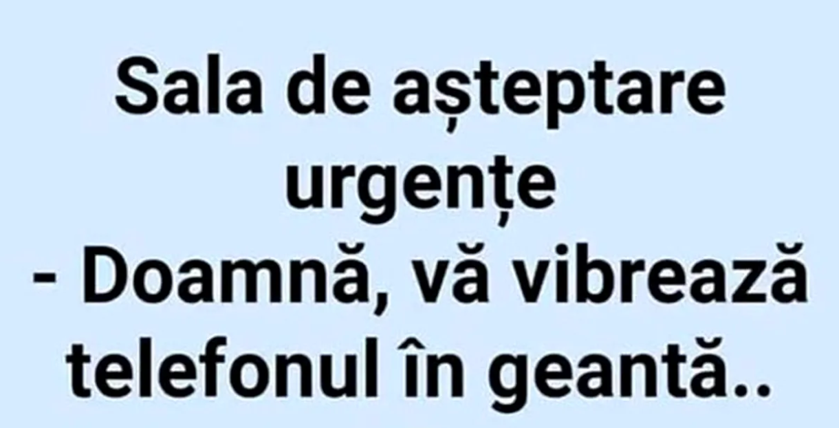 BANC | Doamnă, vă vibrează telefonul!