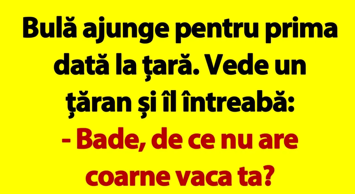 BANC | Bulă, pentru prima dată la țară