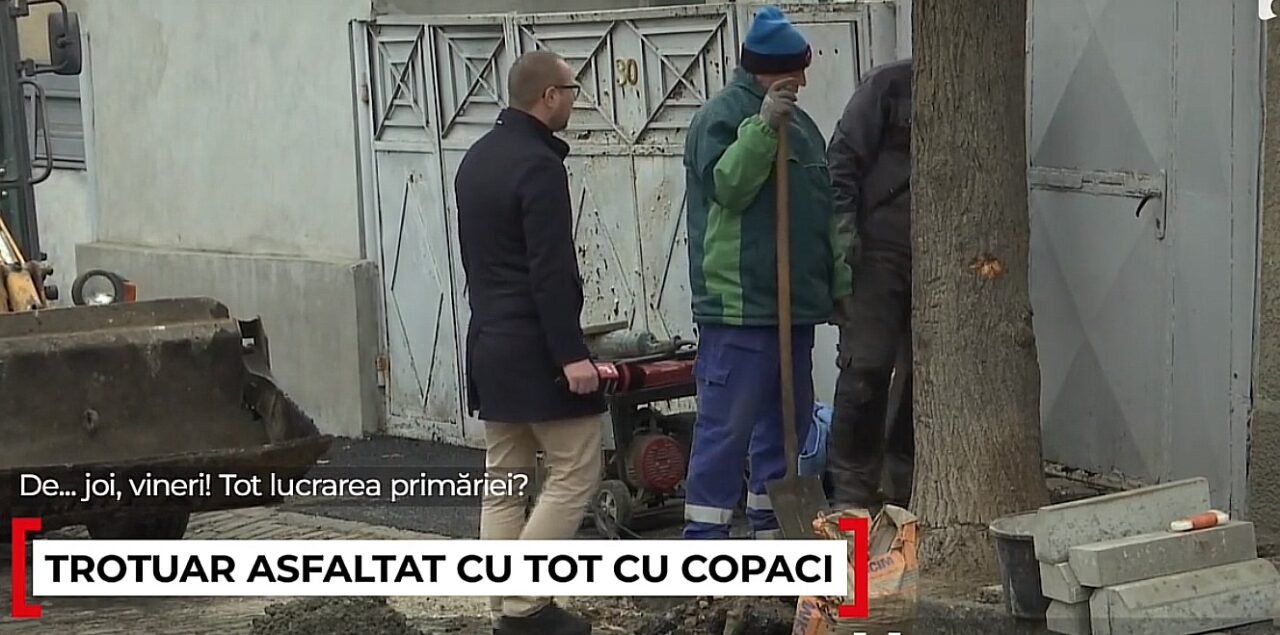Stradă din Galaţi, asfaltată de „Dorel” cu tot cu copaci. Ulterior a reparat GAFA cu târnăcopul. Reacția autorităților