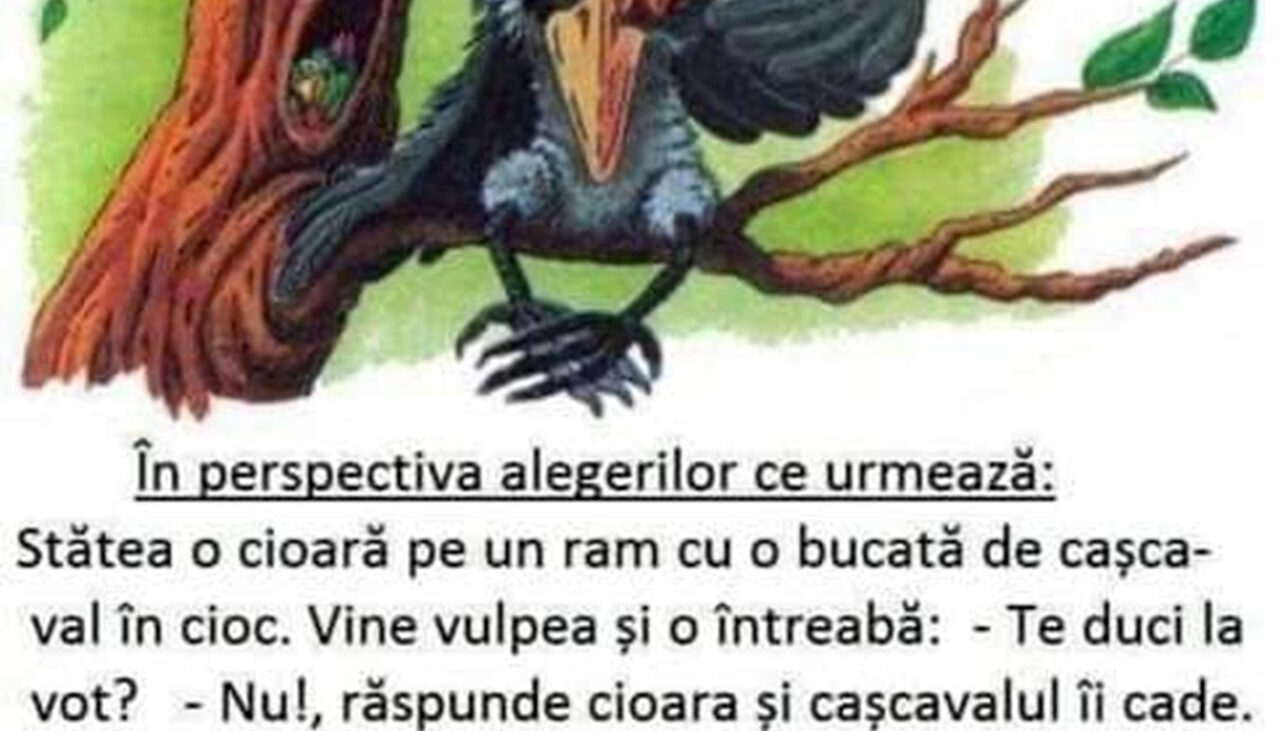 BANCUL ZILEI | Cioara, vulpea și alegerile electorale