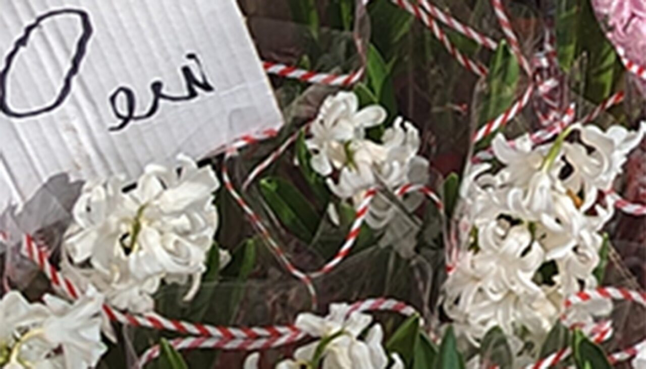 Cu câți lei a ajuns să se vândă o zambilă astăzi, 1 martie, în București