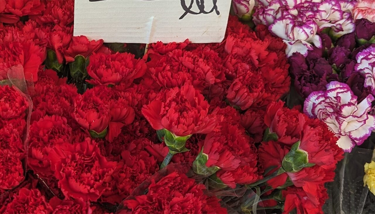 Cu câți lei a ajuns să se vândă o simplă garoafă în București, azi, de 8 Martie