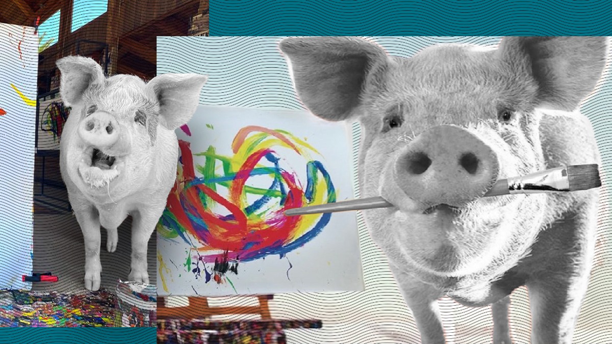 Pigcasso, porcul care a devenit celebru pentru PICTURILE sale, a murit