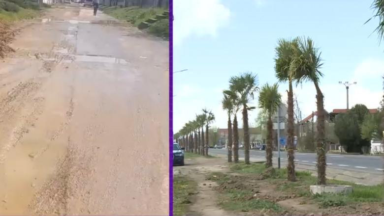 Comuna din Mehedinți în care nu există asfalt, dar în care primarul a plantat PALMIERI