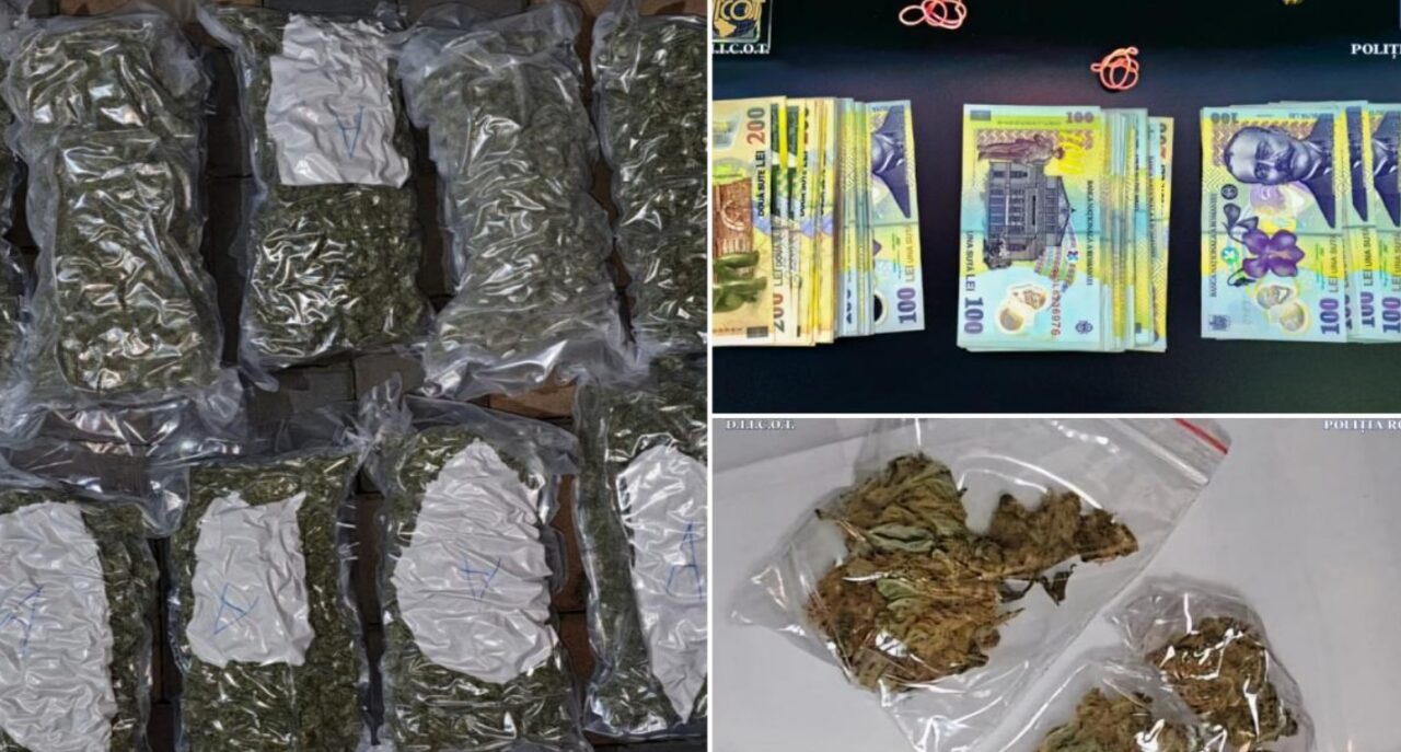Cantitatea URIAȘĂ de droguri descoperită de polițiști în locuința unui constănțean. „Comoara” ilegală l-a băgat direct în arest