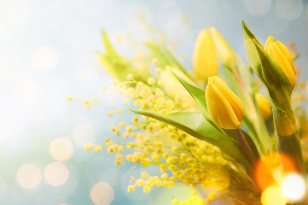Temperaturi de vară în luna aprilie! Prognoza meteo pentru următoarele 4 săptămâni