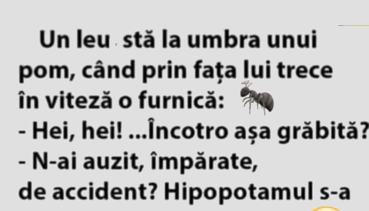 BANCUL ZILEI | Leul și furnica grăbită