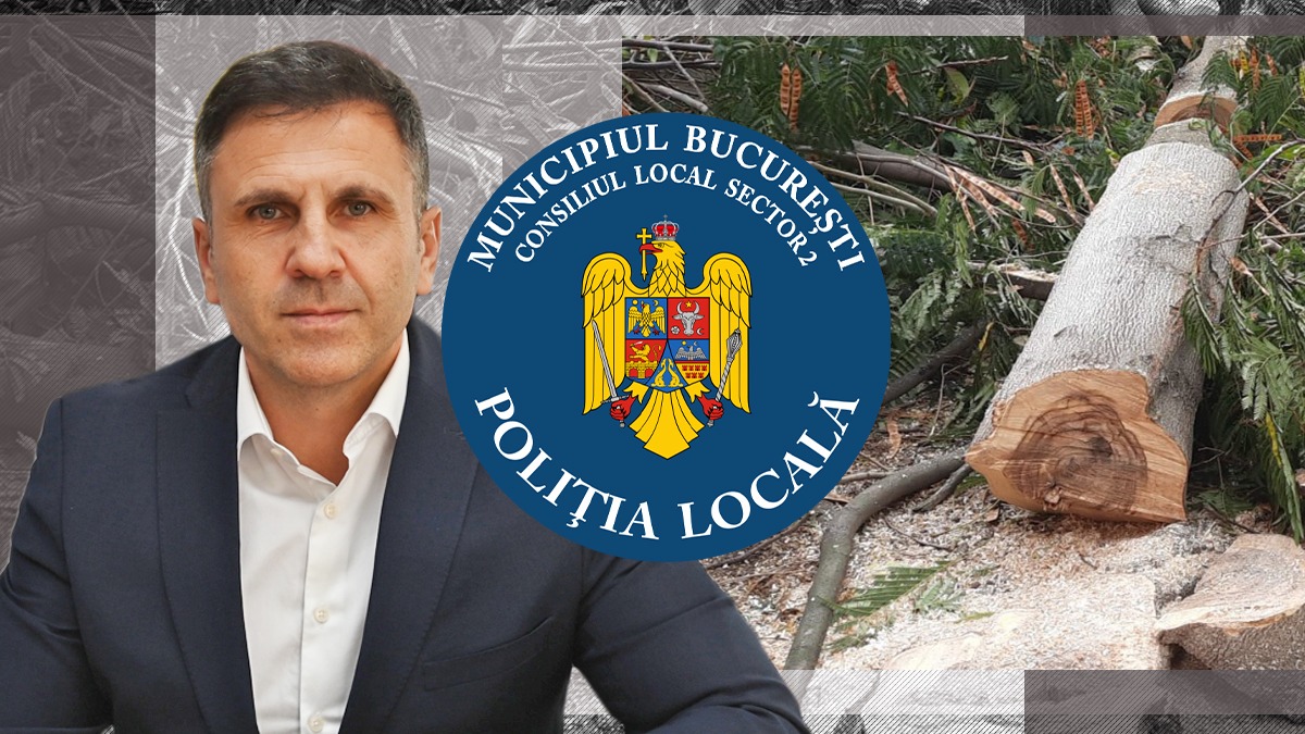 „Toaletare” à la Poliția Locală S2! Directorul general Angheluș a DEFRIȘAT copacii din curte, fără aviz de la Mediu. „A făcut și chetă pentru amendă!”