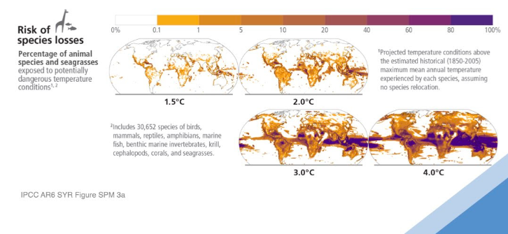 Raport IPCC | Zeci de mii de specii afectate și aflate pe cale de dispariție în următoarele decenii