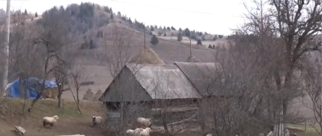 Satul din România unde mai trăiesc doar ȘAPTE oameni. Localnicii sunt disperați: „Ne mănâncă sălbăticiunile în scurtă vreme”