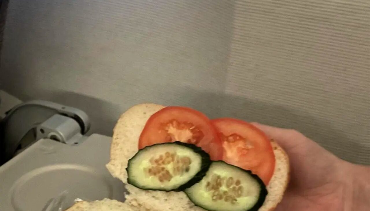 Ce a primit un pasager, în avion, după ce a comandat un sandviș VEGETARIAN: „Până și castravetele pare supărat”