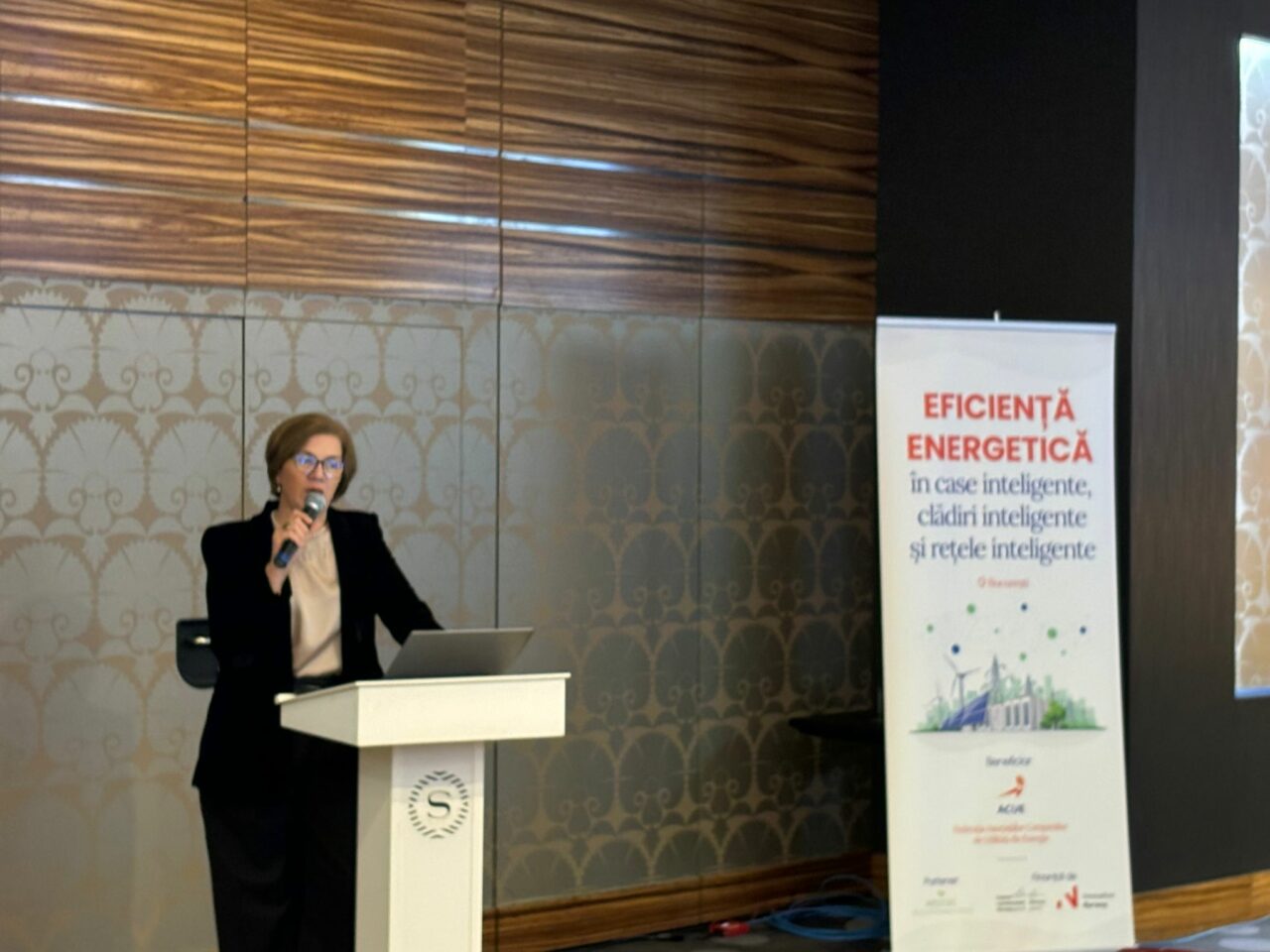 Cât de poate economisi la facturi printr-un consum inteligent? Daniela Dărăban (ACUE): „Eficiența energetică este o resursă importantă”