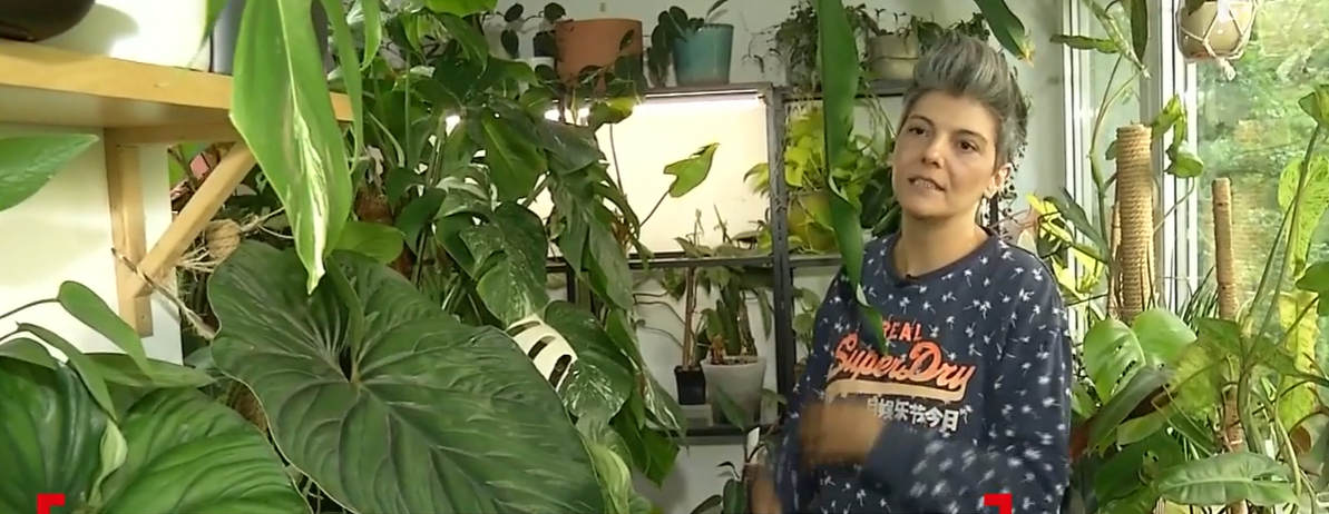 O femeie din București și-a transformat apartamentul într-o grădină botanică. Una dintre plante valorează 21.000 de EURO!