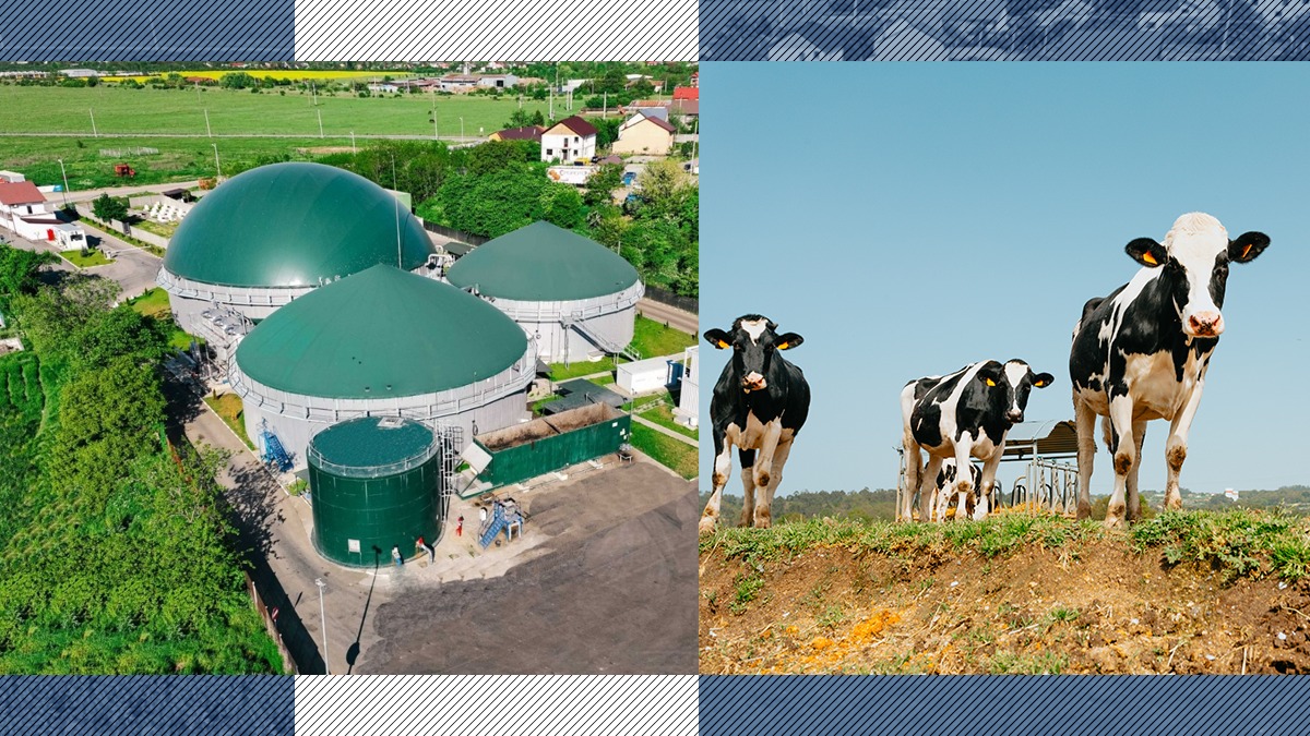 „Energie din bălegar”.  Mediul a lansat Ghidul de investiții pentru energie din biogaz în consultare publică