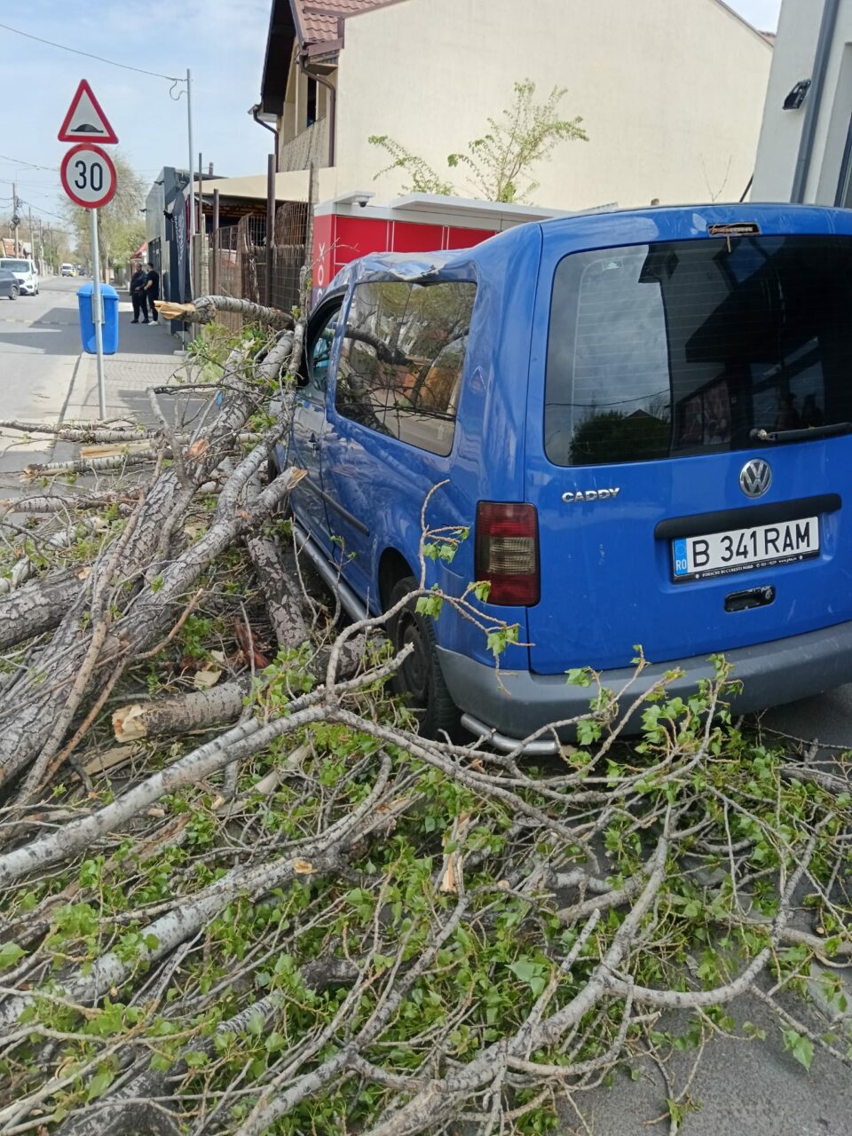 Mii de copaci stau să se PRĂBUȘEASCĂ peste bucureșteni și bunurile lor. Cât de greu este să tai un arbore bolnav în Capitală