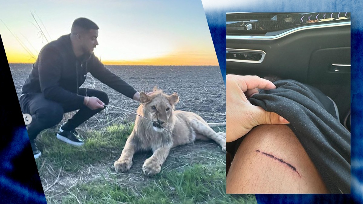 Cântărețul de manele Culiță Sterp, atacat de un LEU. Cum s-a întâmplat totul