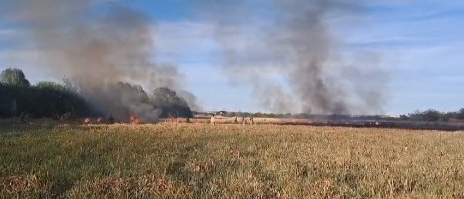 INCENDIU de proporții la poligonul MApN de lângă Craiova. Zeci de pompieri și militari intervin pentru a stinge flăcările