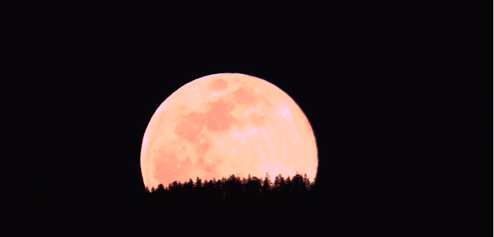 Fenomen astrologic RAR. Ce este și cum ne afectează Luna Plină Roz