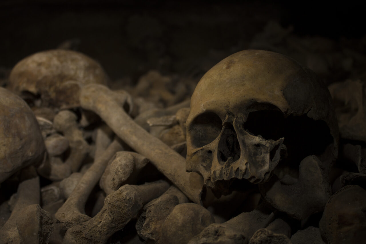 Descoperire macabră la curtea unui spital din Vaslui. Au fost descoperite SCHELETE