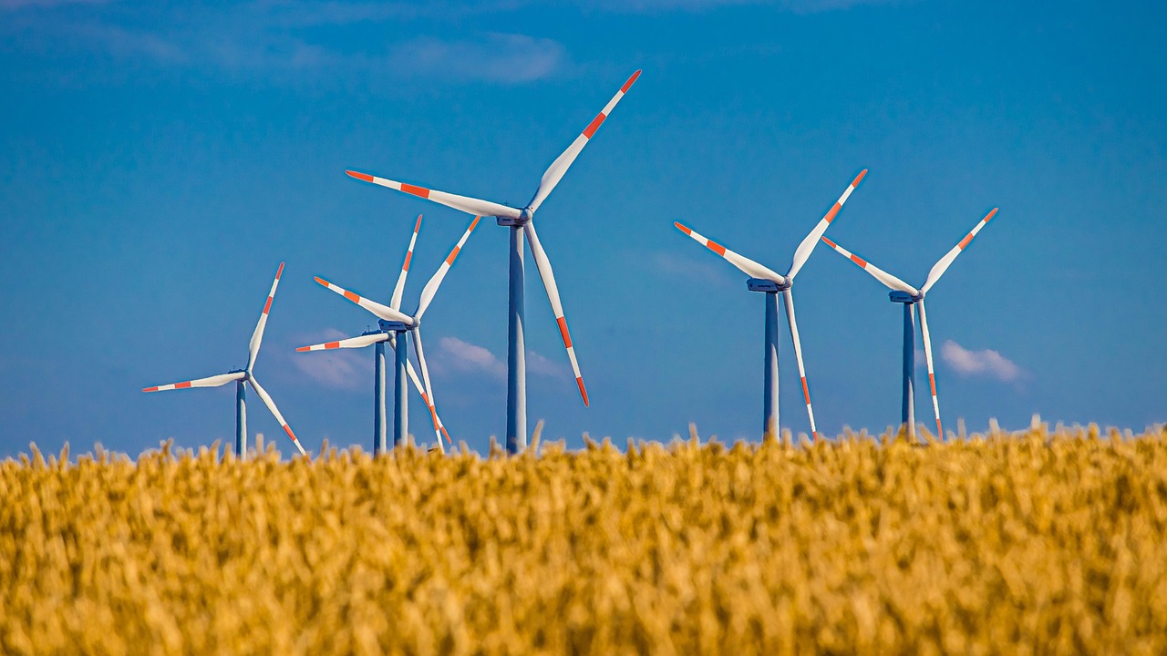 Ministerul Energiei: „România este PRIMA ţară de la Marea Neagră cu un cadru de reglementare al energiei eoliene offshore”