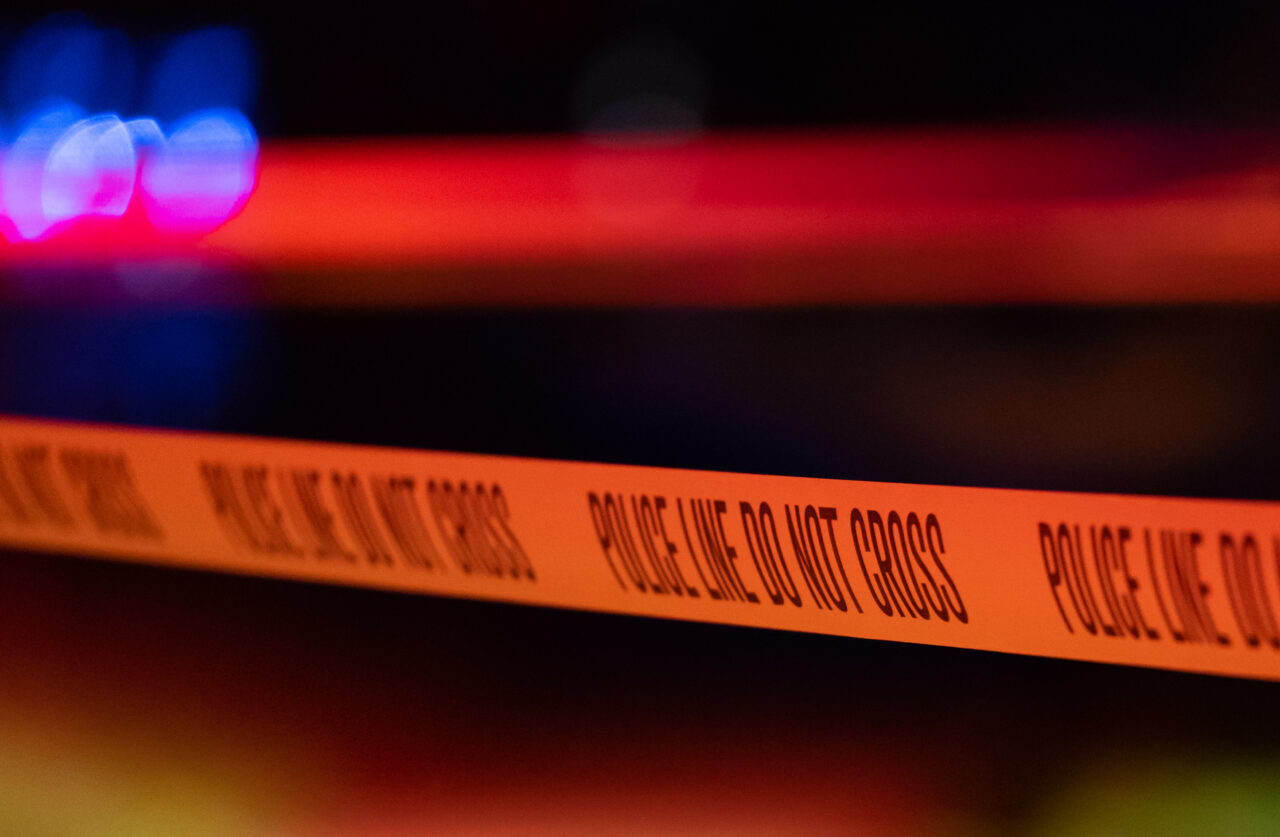 Descoperire fabuloasă în pivnița unui producător de vin din AUSTRIA. Are între 30.000 și 40.000 de ani vechime!