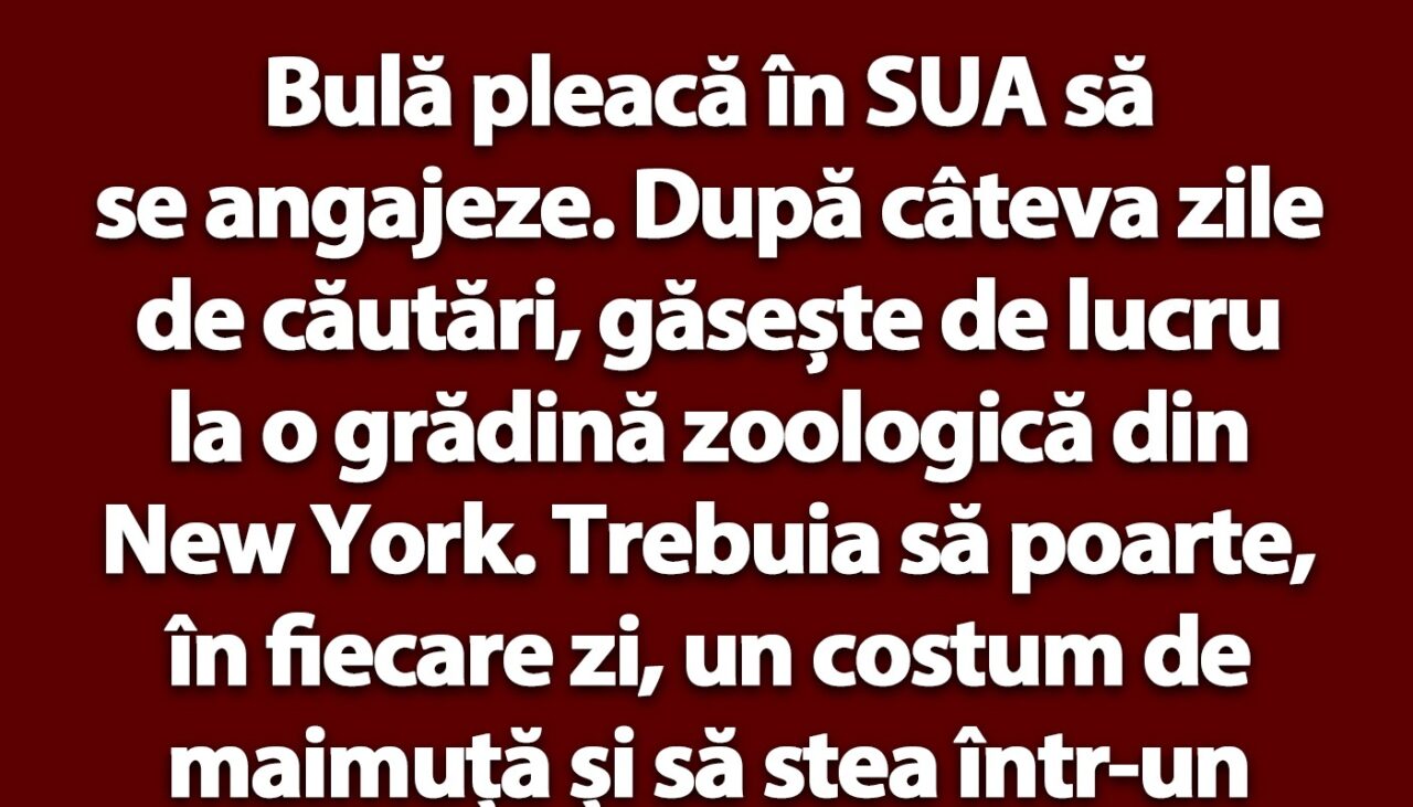 BANC | Bulă se angajează în SUA