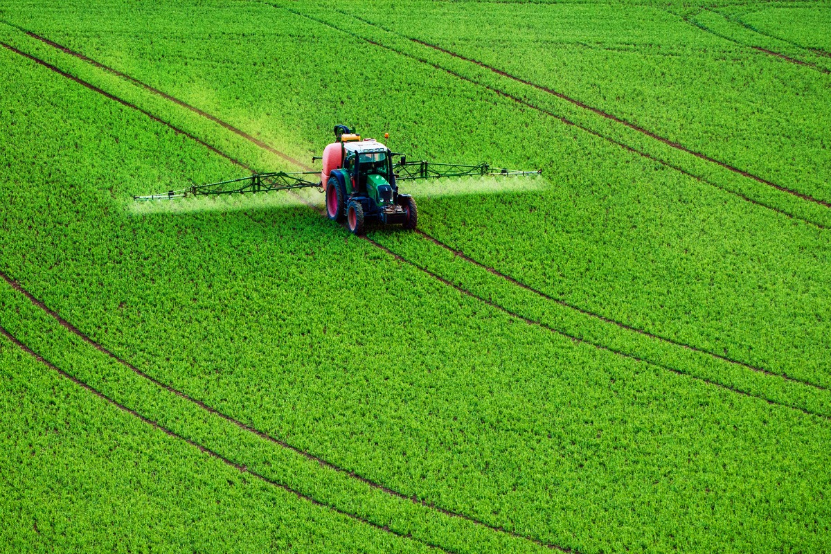 Insecticidele agricole, necesare în menținerea calității recoltelor
