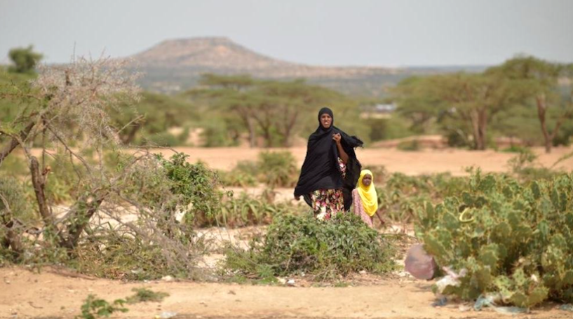 Cum influențează schimbările climatice bunăstarea COPIILOR? UNICEF: „Problema se va agrava în viitor”