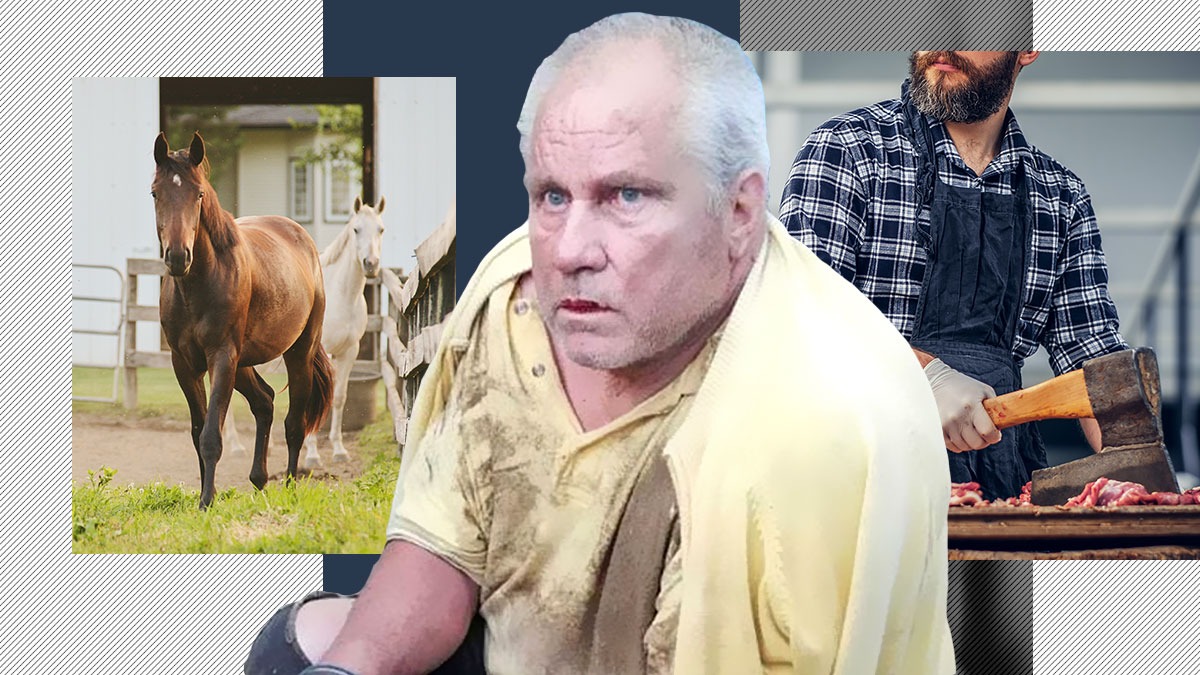 Gheorghe DINCĂ învățase să tranșeze cai și viței de la tatăl lui. „Monstrul” din Caracal spune că părintele său a fost, de fapt, un artist