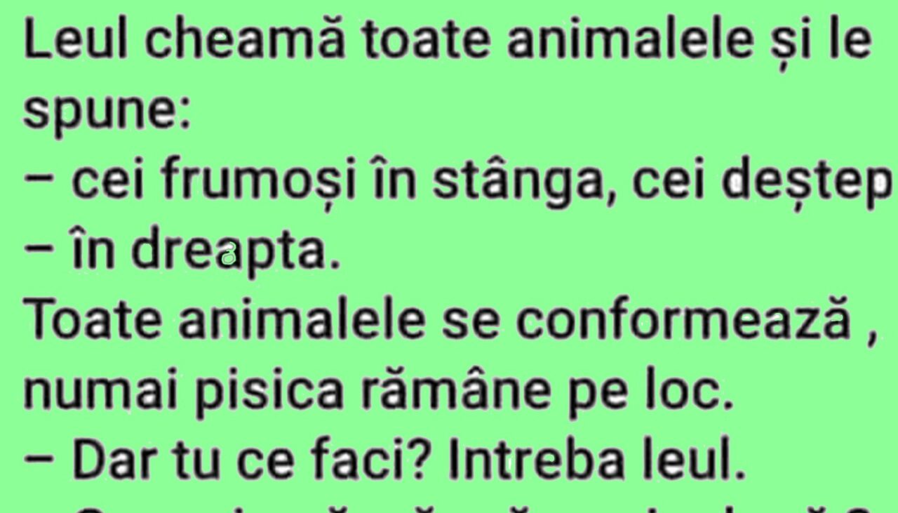 BANCUL ZILEI | Leul, pisica și consiliul animalelor
