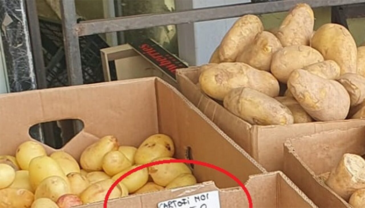 Nu este e eroare! Cu cât se vinde kilogramul de CARTOFI noi românești, într-un magazin de cartier din Ploiești