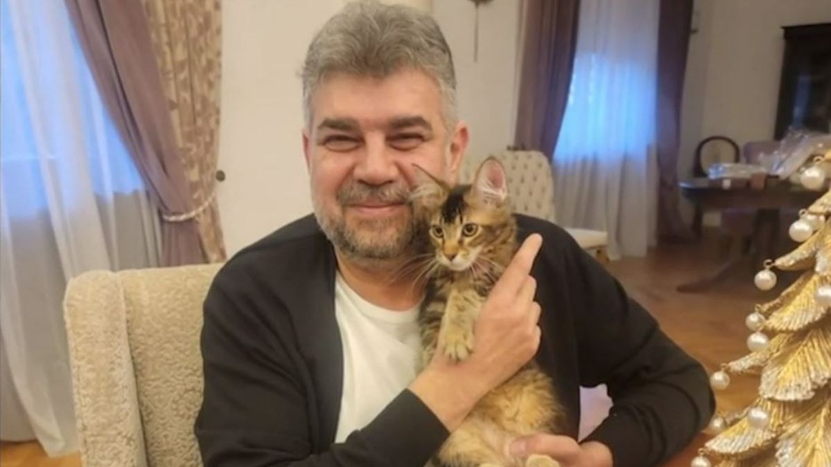 Mihai Tudose, despre PISICA lui Marcel Ciolacu: ,,Eu i-am dus-o CADOU. După 12 ore de stat la serviciu îi schimbă litiera”