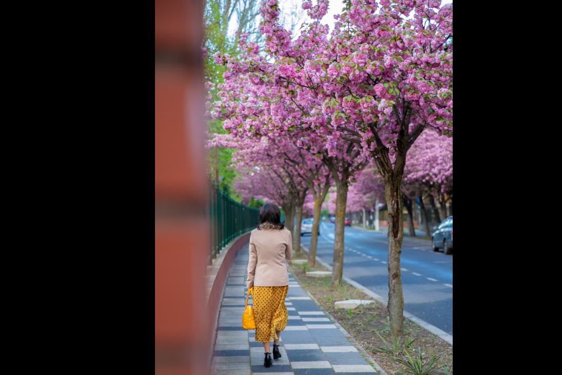 Locul din România unde se află cea mai frumoasă stradă din Europa