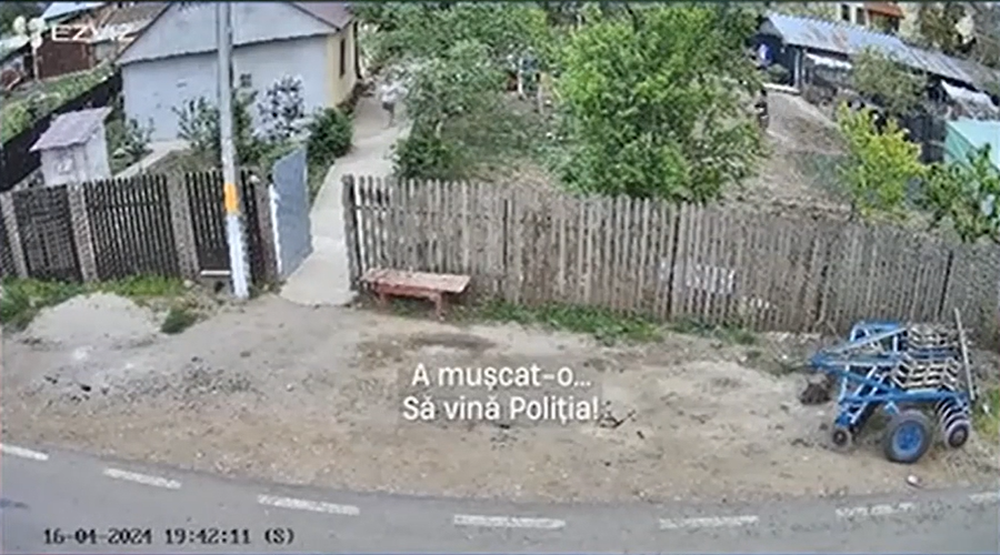 Fetiță de 11 ani, MUTILATĂ de câinele unui vecin, într-o comună din Călărași. Minora a fost adusă la un spital din Capitală, fiind operată de trei ori