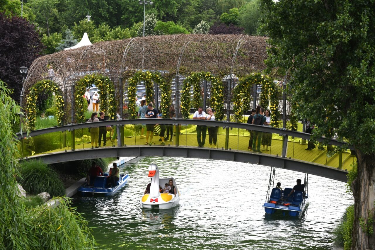 Când se deschide „West Side Flower Fest”, Festivalul Florilor din Drumul Taberei