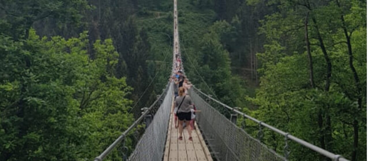 Cel mai înalt pod suspendat din Europa va fi CONSTRUIT într-o comună din România