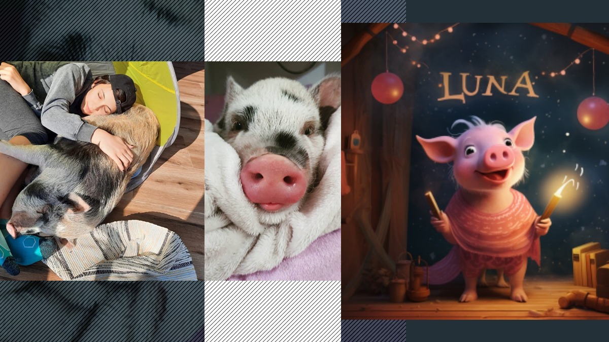 Purcelușa Peppa, în pericol să-și piardă supremația! Luna de la Satu Mare, crescută și educată ca animal de companie, personaj într-o carte biografică
