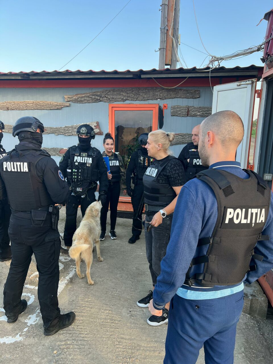 Corupție într-un ocol silvic din Bacău: Mai mulți zilieri au participat FICTIV la un program de împădurire. Banii au ajuns în conturile funcționarilor