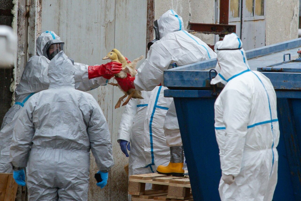 SUA și Europa pregătesc stocuri de vaccinuri, anticipând o pandemie mai devastatoare decât cea de Covid