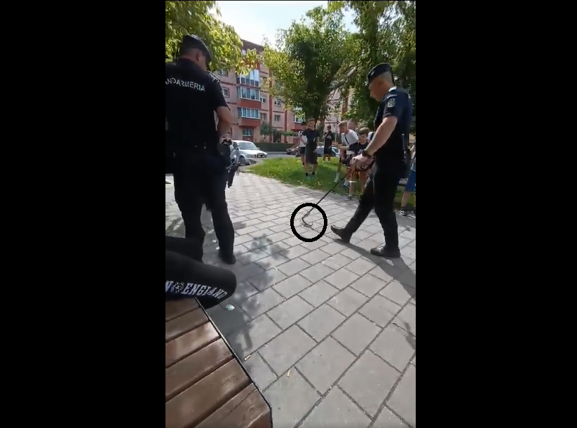 ȘARPE văzut într-un parc din Reșița, în timp ce mai mulți copii se aflau în zonă (VIDEO)