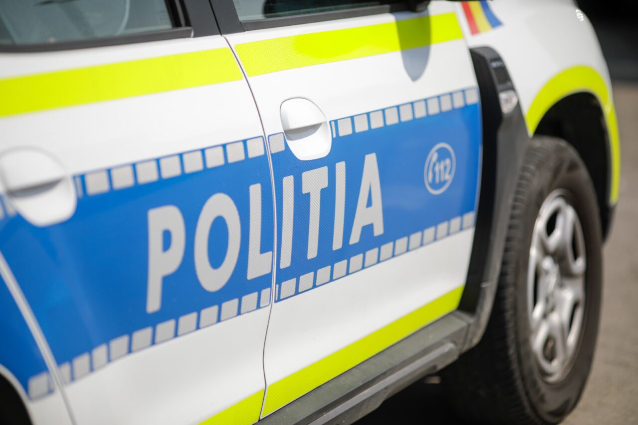 Amenda ISTORICĂ primită de bărbat din Bihor care a abandonat 7 cățeluși. A lăsat puii într-o pungă, la marginea șoselei!