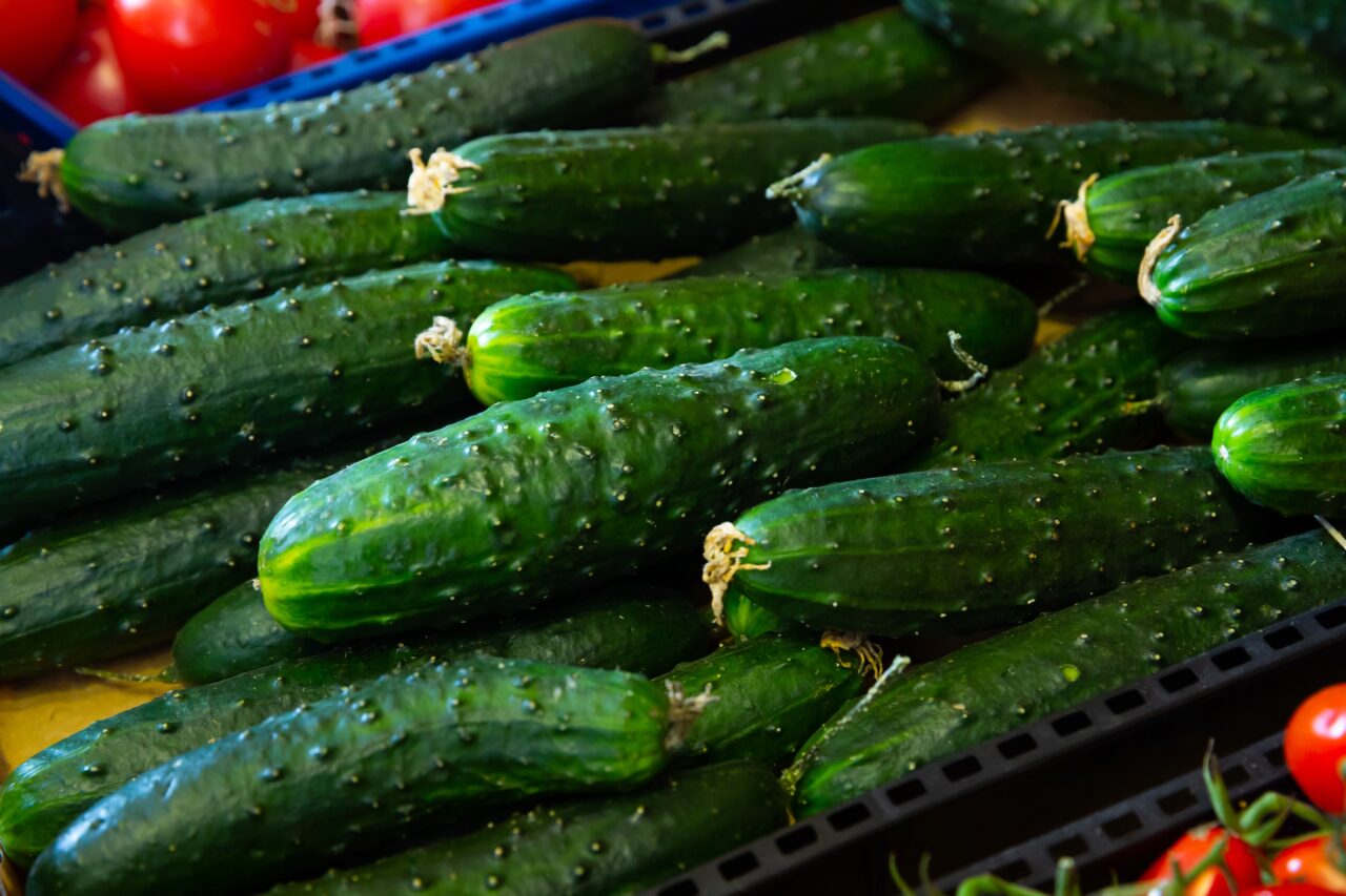 Castraveții se vând cu 1 leu la fermă și 7 lei la raft. De unde vin diferențele URIAȘE între prețurile de producător și cele din magazine și piețe