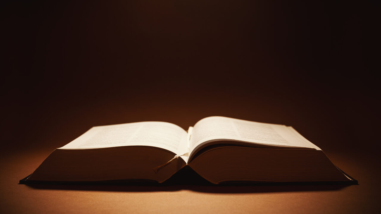 Câte litere are cel mai lung CUVÂNT din vocabularul limbii române