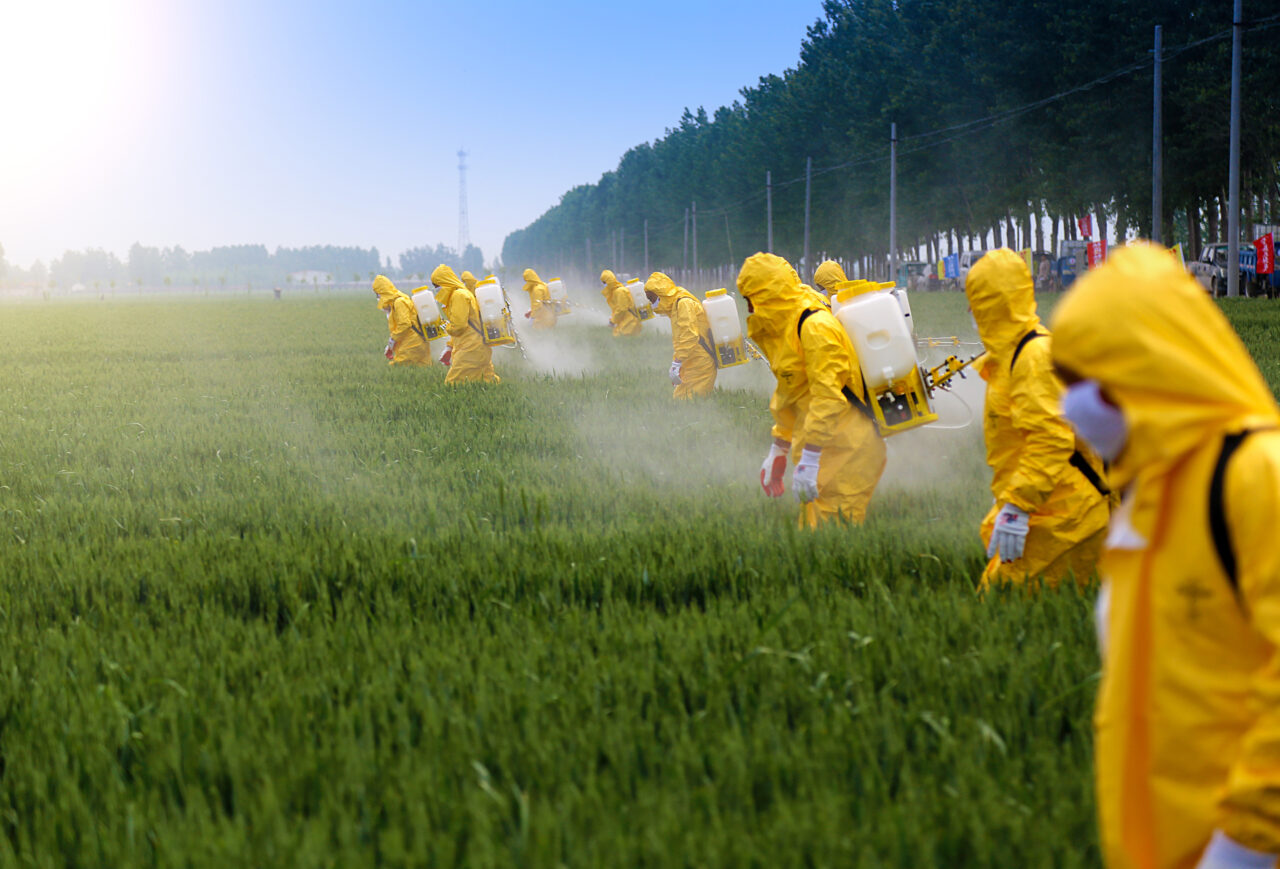 S-a aflat care produse din magazine sunt cele mai contaminate de PESTICIDE