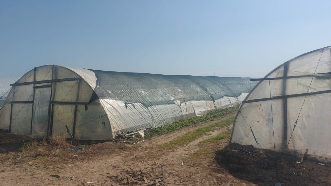 Românii care pot obţine 200.000 de euro de la stat pentru PROGRAMUL „Prima Seră” / Cele trei condiții importante pentru a primi finanțarea