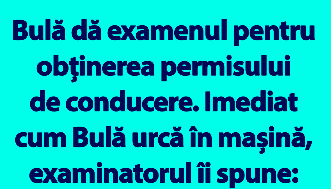 BANC | Bulă dă examenul pentru obținerea permisului de conducere