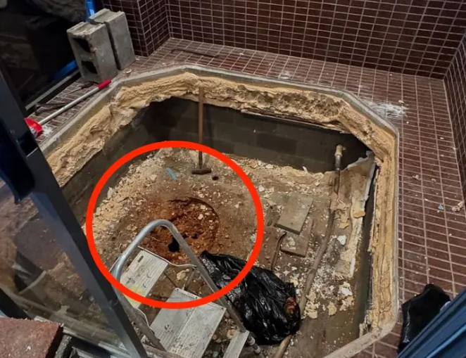 Descoperirea BIZARĂ făcută de un cuplu în timp ce ronava casa: „Cred că oricine ar considera acest lucru înfricoșător”
