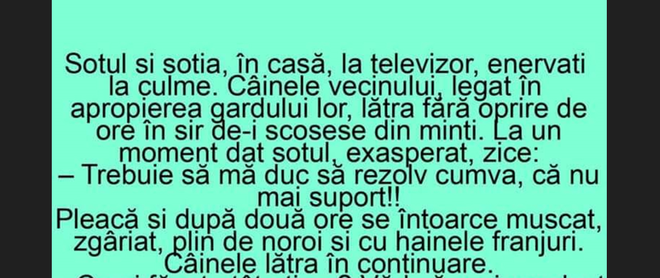 BANCUL DE MIERCURI | „Soțul și soția, în casă, la televizor, enervați la culme”