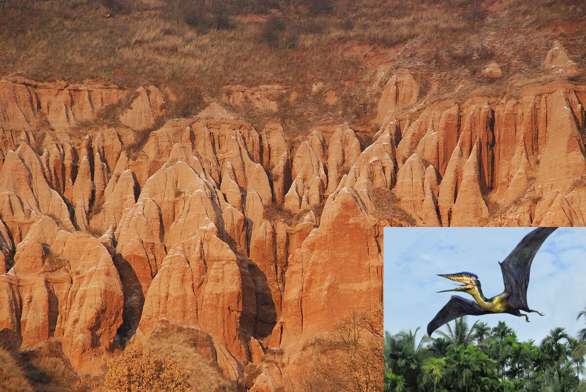 Rezervația naturală pe care o poți vizita cu ocazia Zilei Copilului. Aici au fost descoperite fosile de DINOZAURI