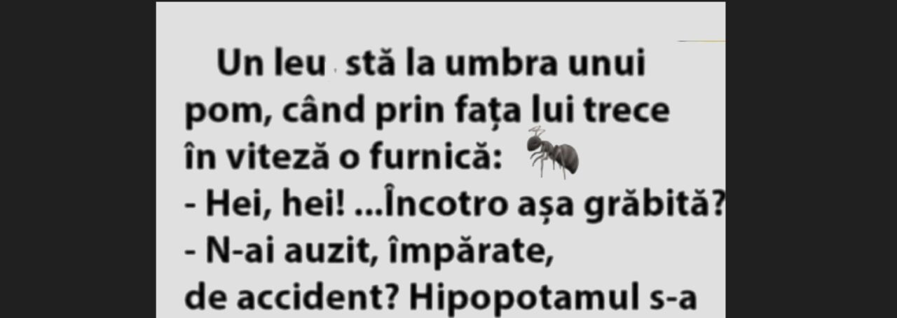 BANCUL ZILEI | „Un leu stă la umbra unui pom”